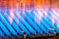 Fanellan gas fired boilers